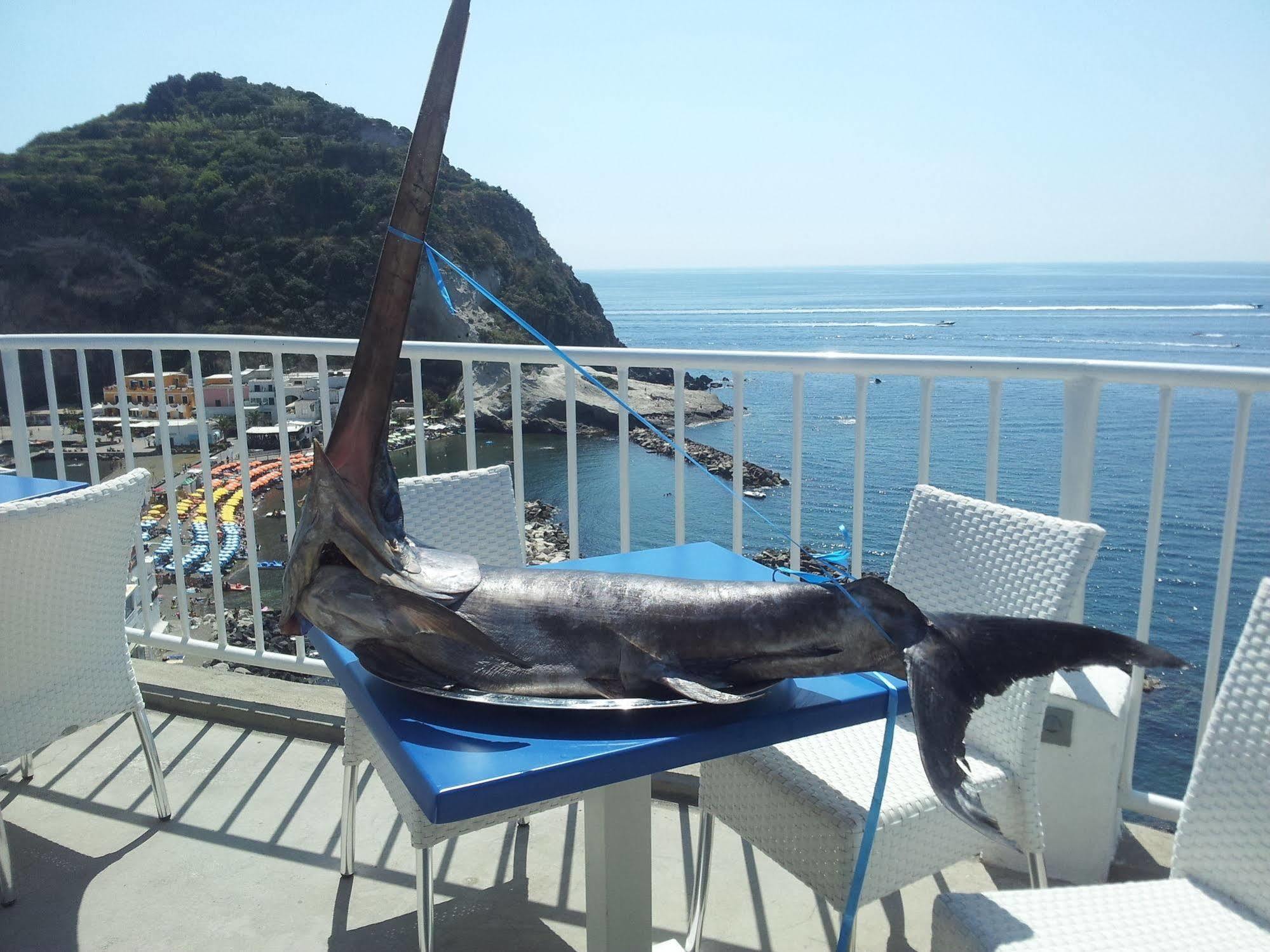 Hotel Villa Sirena Sant'Angelo  Dış mekan fotoğraf